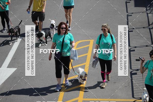 Buy your photos of the event2 Pet Run Shopping Eldorado  on Fotop