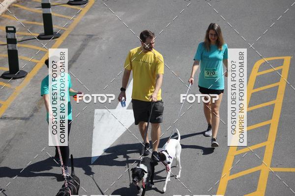 Buy your photos of the event2 Pet Run Shopping Eldorado  on Fotop