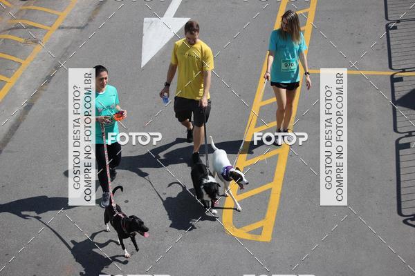 Buy your photos of the event2 Pet Run Shopping Eldorado  on Fotop