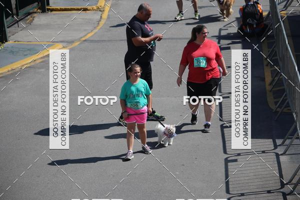 Buy your photos of the event2 Pet Run Shopping Eldorado  on Fotop