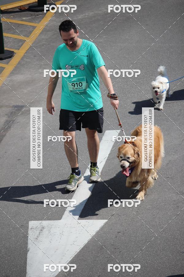 Buy your photos of the event2 Pet Run Shopping Eldorado  on Fotop