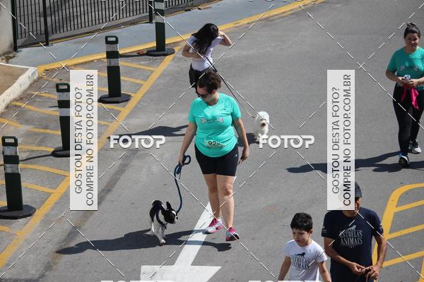 Buy your photos of the event2 Pet Run Shopping Eldorado  on Fotop