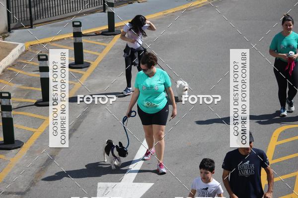 Buy your photos of the event2 Pet Run Shopping Eldorado  on Fotop