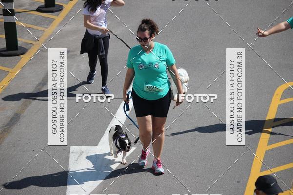 Buy your photos of the event2 Pet Run Shopping Eldorado  on Fotop