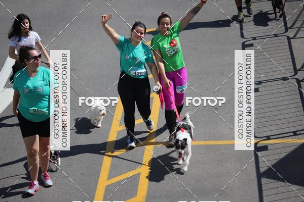 Buy your photos of the event2 Pet Run Shopping Eldorado  on Fotop