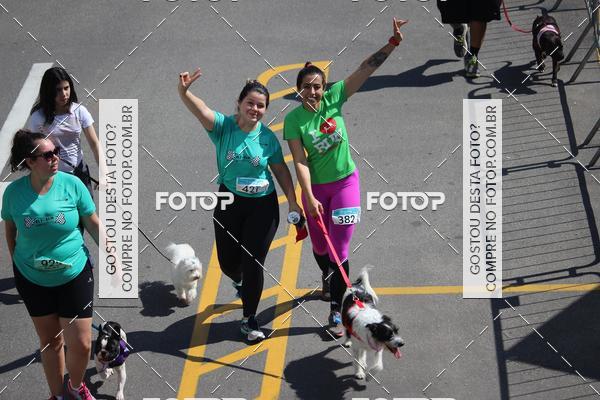 Buy your photos of the event2 Pet Run Shopping Eldorado  on Fotop