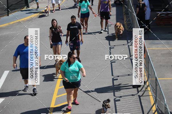 Buy your photos of the event2 Pet Run Shopping Eldorado  on Fotop