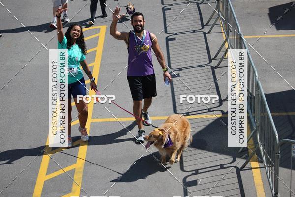 Buy your photos of the event2 Pet Run Shopping Eldorado  on Fotop