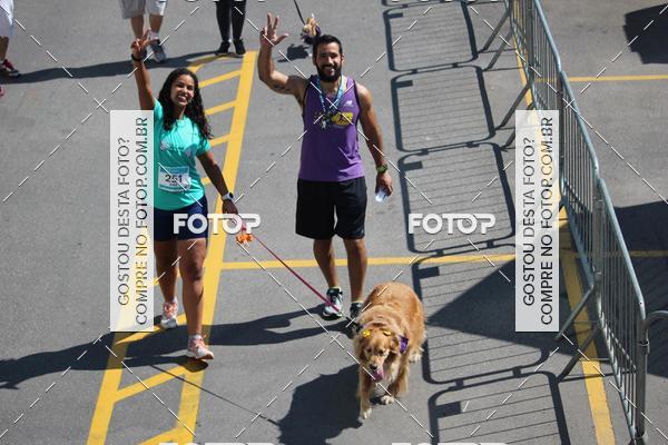 Buy your photos of the event2 Pet Run Shopping Eldorado  on Fotop
