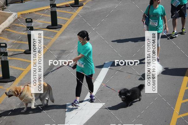 Buy your photos of the event2 Pet Run Shopping Eldorado  on Fotop
