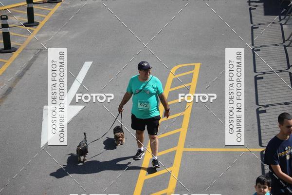 Buy your photos of the event2 Pet Run Shopping Eldorado  on Fotop