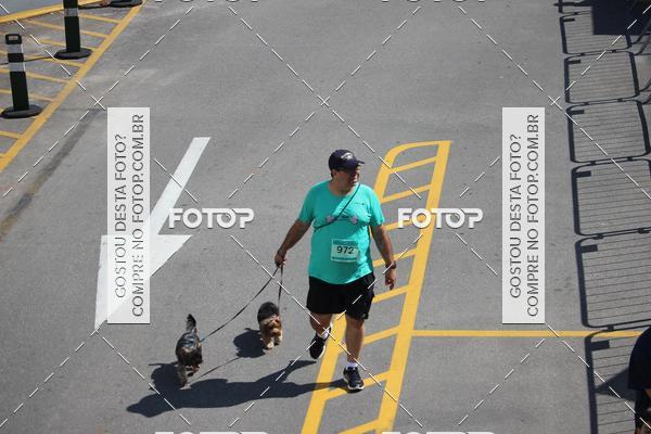 Buy your photos of the event2 Pet Run Shopping Eldorado  on Fotop