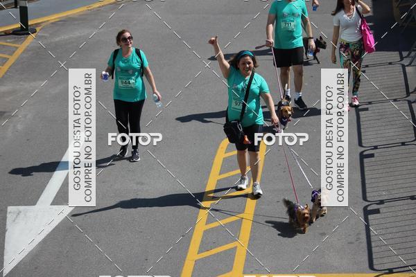 Buy your photos of the event2 Pet Run Shopping Eldorado  on Fotop