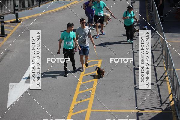 Buy your photos of the event2 Pet Run Shopping Eldorado  on Fotop