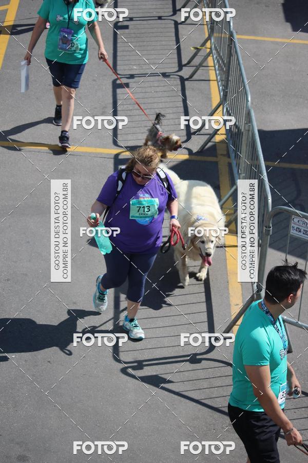 Buy your photos of the event2 Pet Run Shopping Eldorado  on Fotop