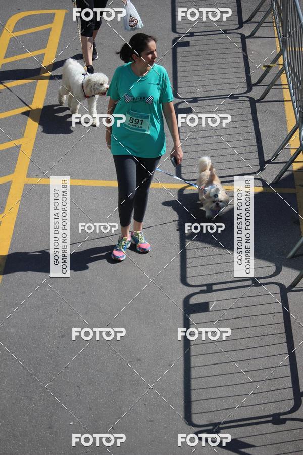 Buy your photos of the event2 Pet Run Shopping Eldorado  on Fotop