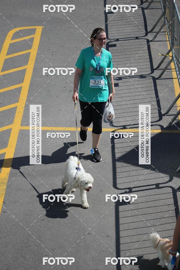 Buy your photos of the event2 Pet Run Shopping Eldorado  on Fotop