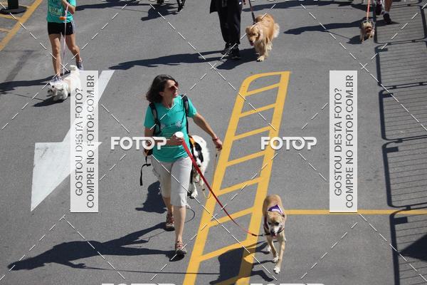 Buy your photos of the event2 Pet Run Shopping Eldorado  on Fotop