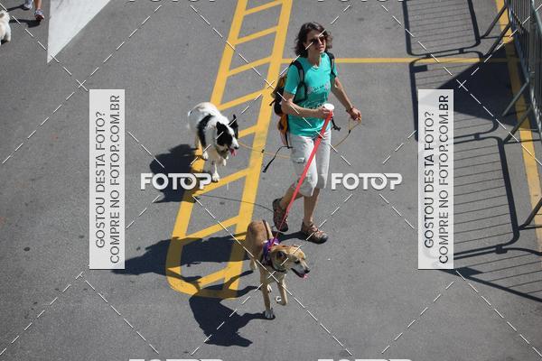 Buy your photos of the event2 Pet Run Shopping Eldorado  on Fotop