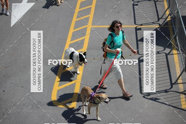Buy your photos of the event2 Pet Run Shopping Eldorado  on Fotop