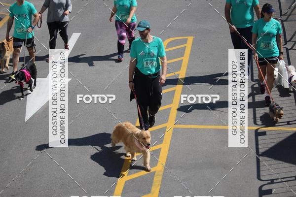 Buy your photos of the event2 Pet Run Shopping Eldorado  on Fotop