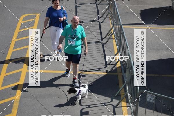 Buy your photos of the event2 Pet Run Shopping Eldorado  on Fotop