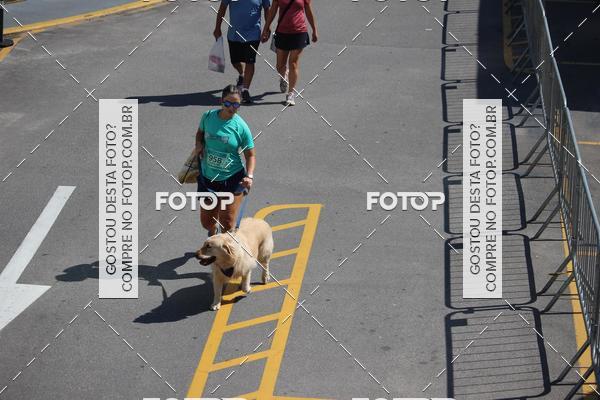 Buy your photos of the event2 Pet Run Shopping Eldorado  on Fotop