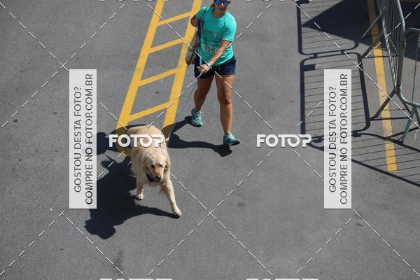 Buy your photos of the event2 Pet Run Shopping Eldorado  on Fotop