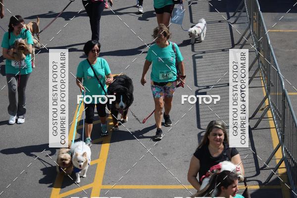 Buy your photos of the event2 Pet Run Shopping Eldorado  on Fotop