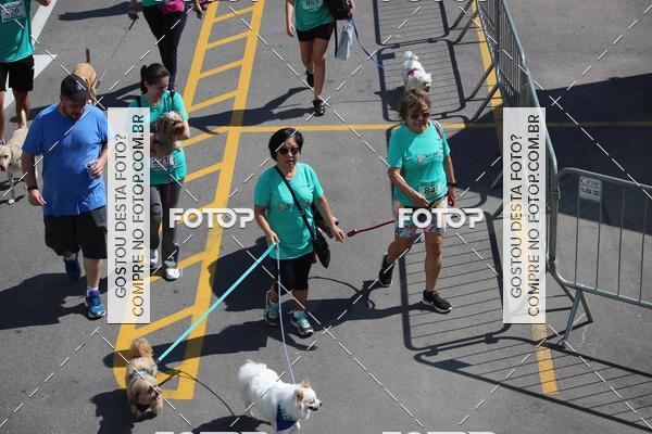 Buy your photos of the event2 Pet Run Shopping Eldorado  on Fotop