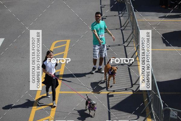 Buy your photos of the event2 Pet Run Shopping Eldorado  on Fotop