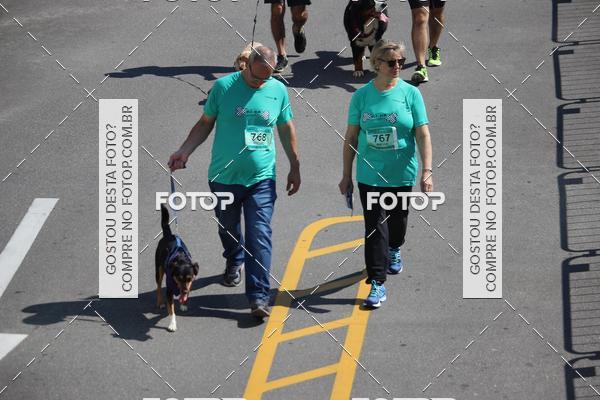 Buy your photos of the event2 Pet Run Shopping Eldorado  on Fotop