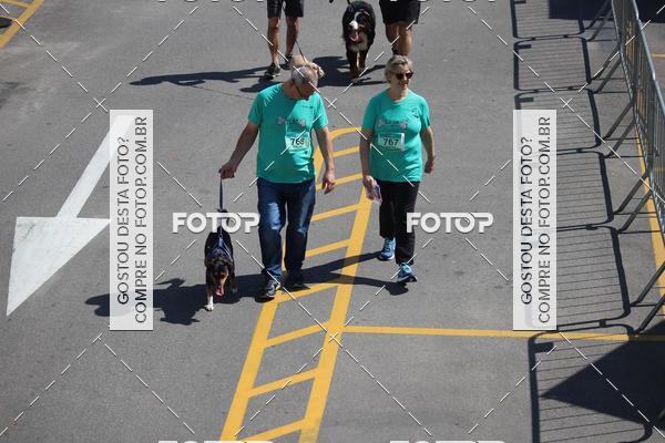Buy your photos of the event2 Pet Run Shopping Eldorado  on Fotop