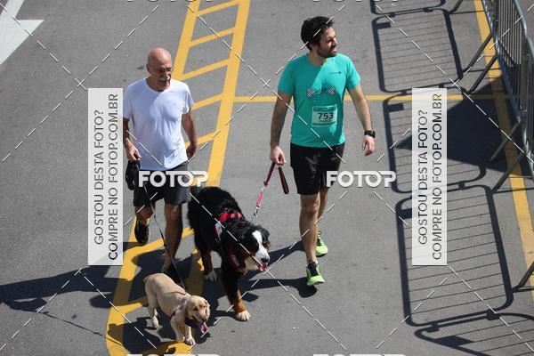 Buy your photos of the event2 Pet Run Shopping Eldorado  on Fotop