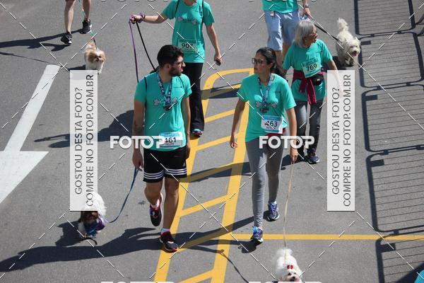 Buy your photos of the event2 Pet Run Shopping Eldorado  on Fotop