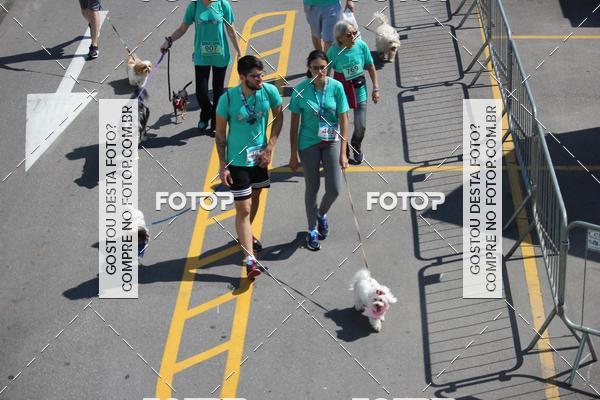 Buy your photos of the event2 Pet Run Shopping Eldorado  on Fotop