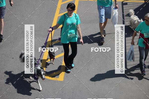 Buy your photos of the event2 Pet Run Shopping Eldorado  on Fotop