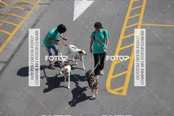 Buy your photos of the event2 Pet Run Shopping Eldorado  on Fotop