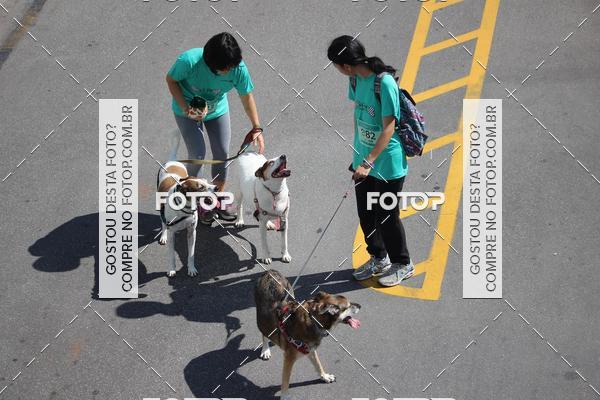 Buy your photos of the event2 Pet Run Shopping Eldorado  on Fotop