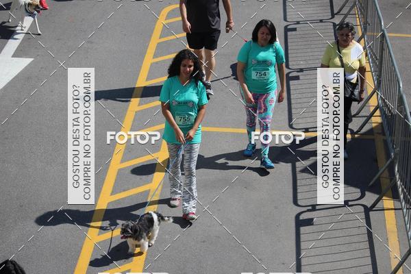 Buy your photos of the event2 Pet Run Shopping Eldorado  on Fotop