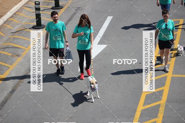 Buy your photos of the event2 Pet Run Shopping Eldorado  on Fotop