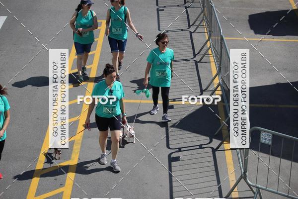 Buy your photos of the event2 Pet Run Shopping Eldorado  on Fotop