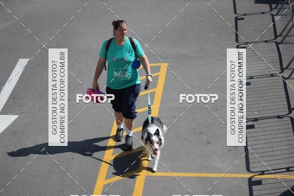 Buy your photos of the event2 Pet Run Shopping Eldorado  on Fotop