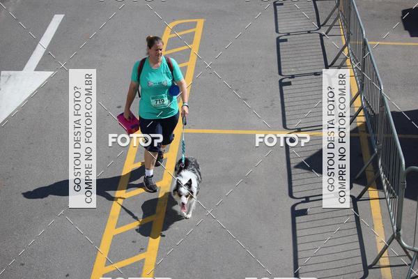Buy your photos of the event2 Pet Run Shopping Eldorado  on Fotop