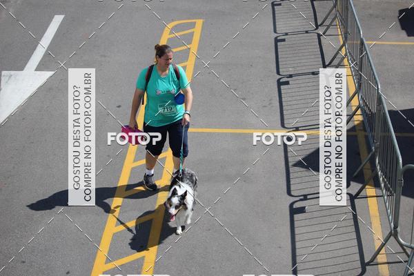 Buy your photos of the event2 Pet Run Shopping Eldorado  on Fotop