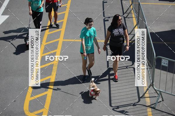 Buy your photos of the event2 Pet Run Shopping Eldorado  on Fotop