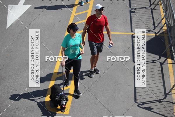 Buy your photos of the event2 Pet Run Shopping Eldorado  on Fotop