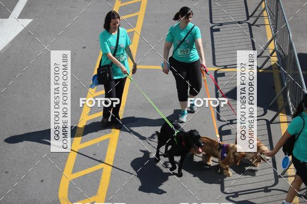 Buy your photos of the event2 Pet Run Shopping Eldorado  on Fotop