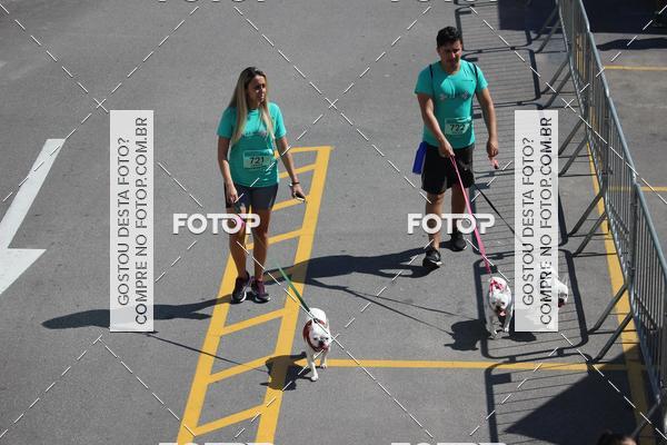 Buy your photos of the event2 Pet Run Shopping Eldorado  on Fotop