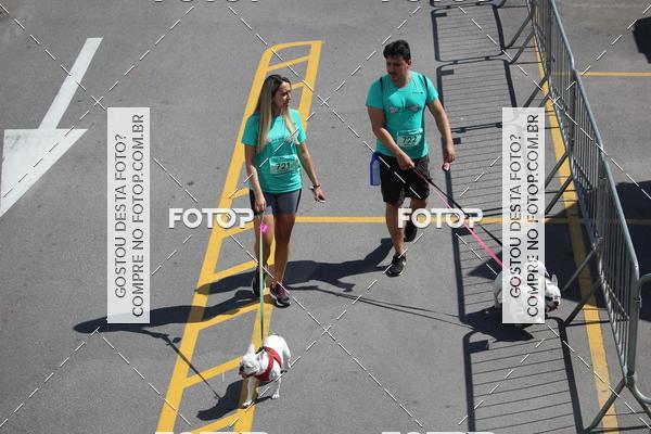 Buy your photos of the event2 Pet Run Shopping Eldorado  on Fotop